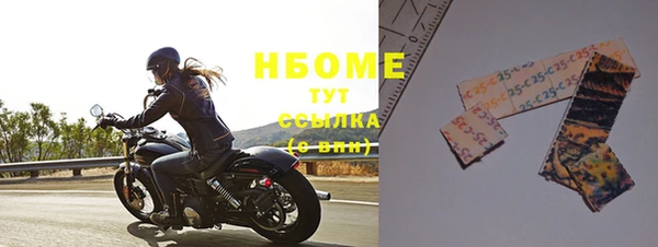 хмурый Сосновый Бор