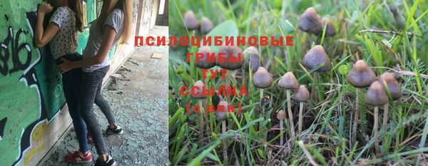 ALPHA-PVP Корсаков