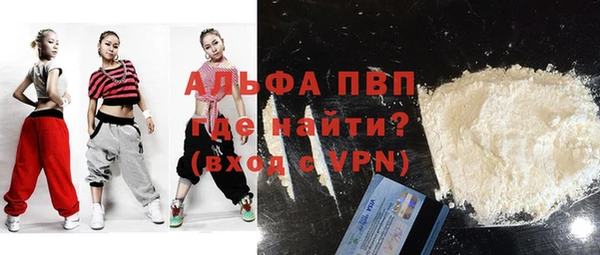 твердый Козельск