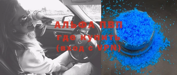 хмурый Сосновый Бор