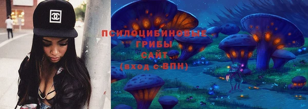 гашик Кодинск