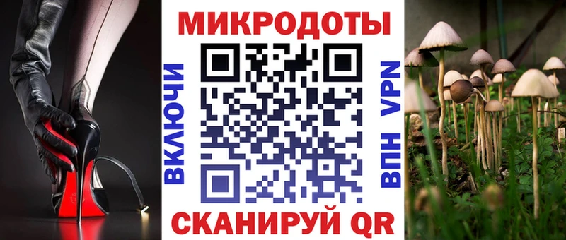Купить  Камень-на-Оби  Галлюциногенные грибы ЛСД 